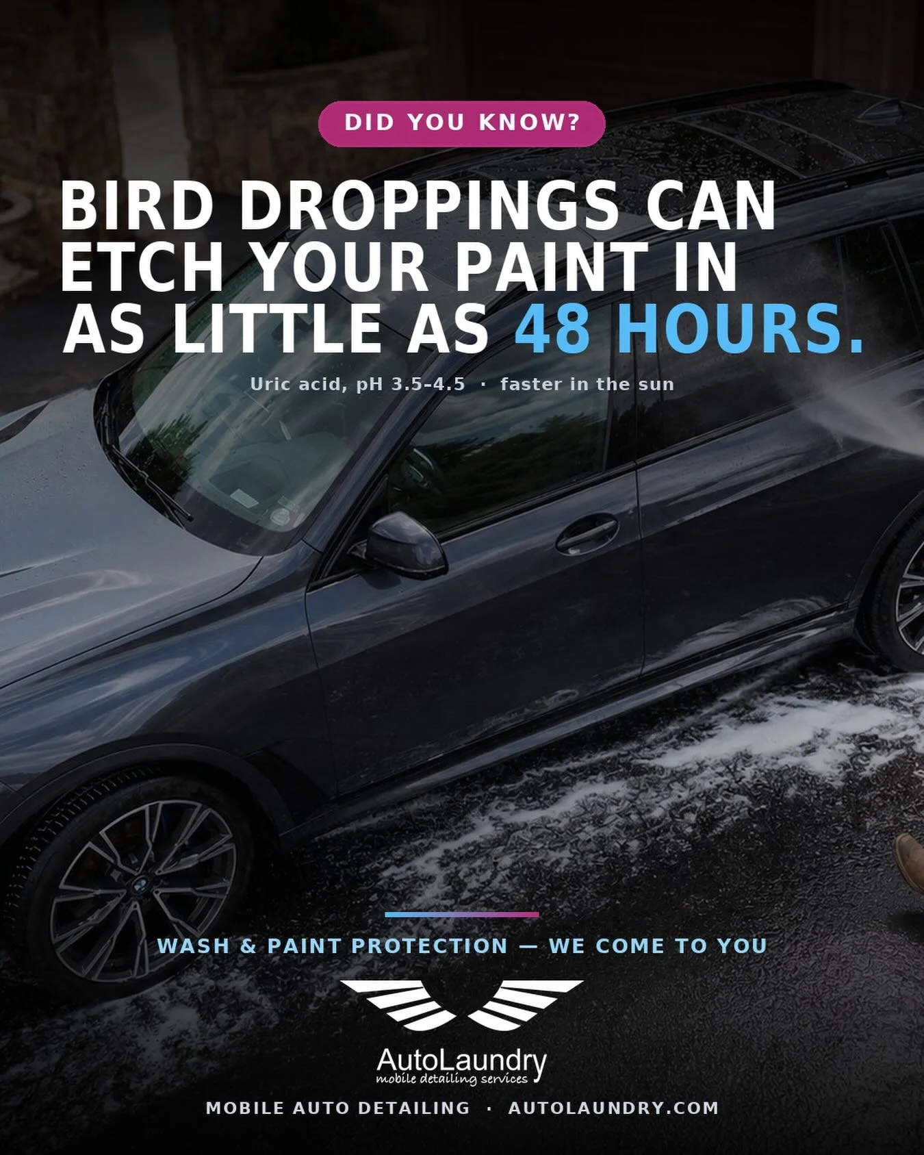 That little &ldquo;gift&rdquo; on your hood is on a timer. Bird droppings are acidic (pH 3.5&ndash;4.5) &mdash; enough to permanently etch your clear coat in as little as 48 hours, and far faster baking in the Colorado sun. A quick rinse often isn&rs