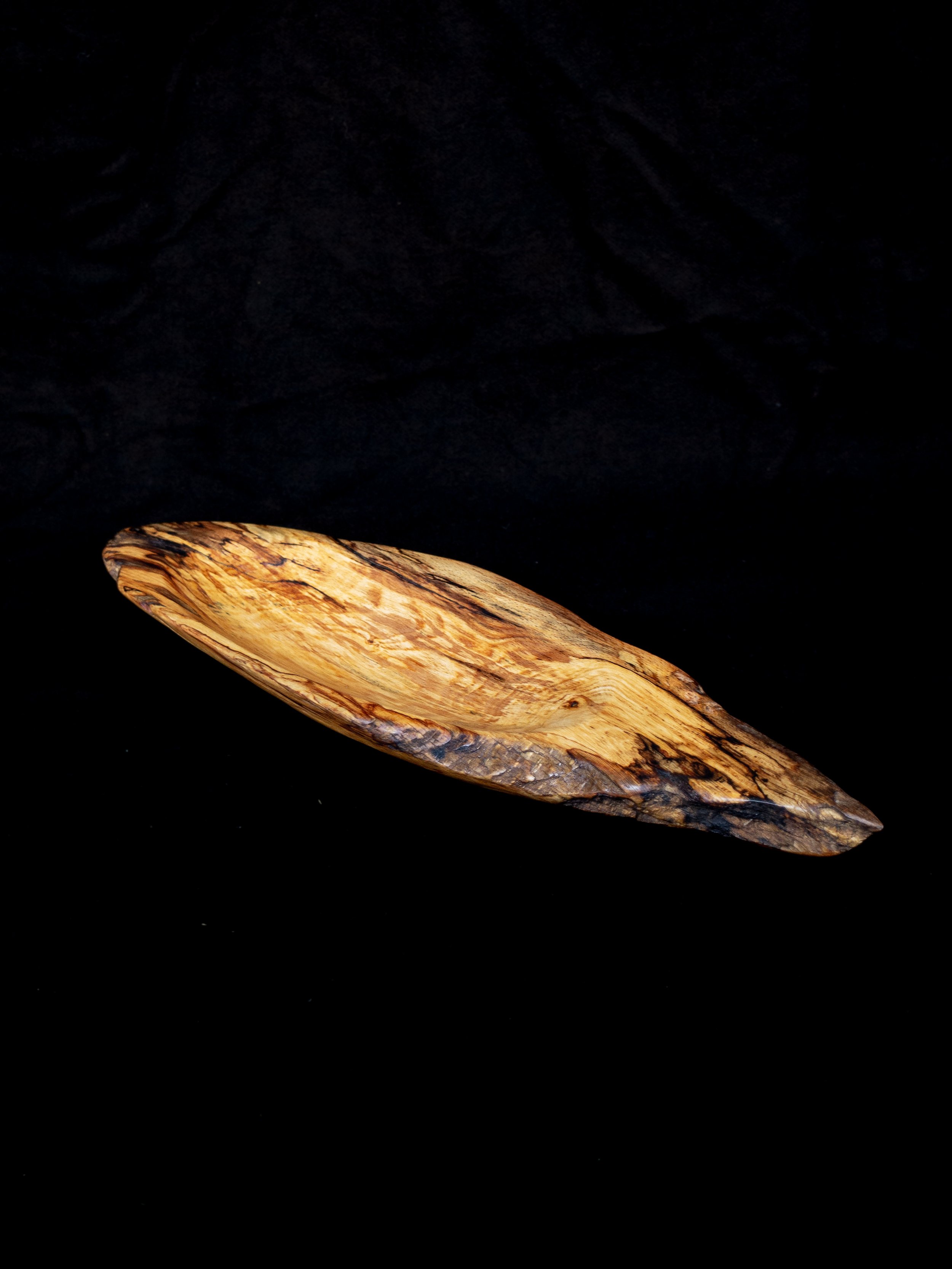 DSC_0976.jpg