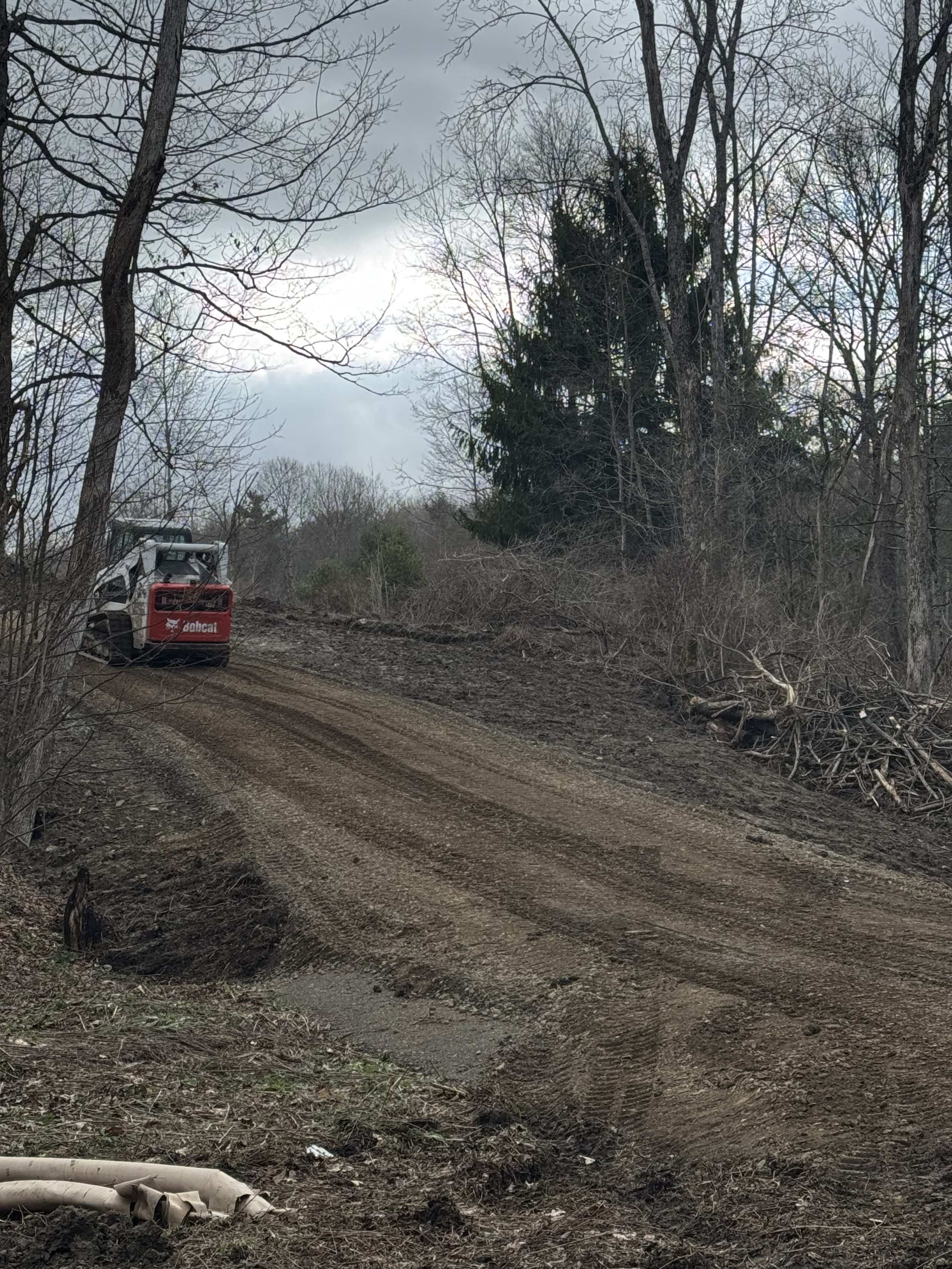 A dirt trail through a wooded area with leafless trees and a large evergreen tree. A small tracked construction vehicle is parked on the trail.