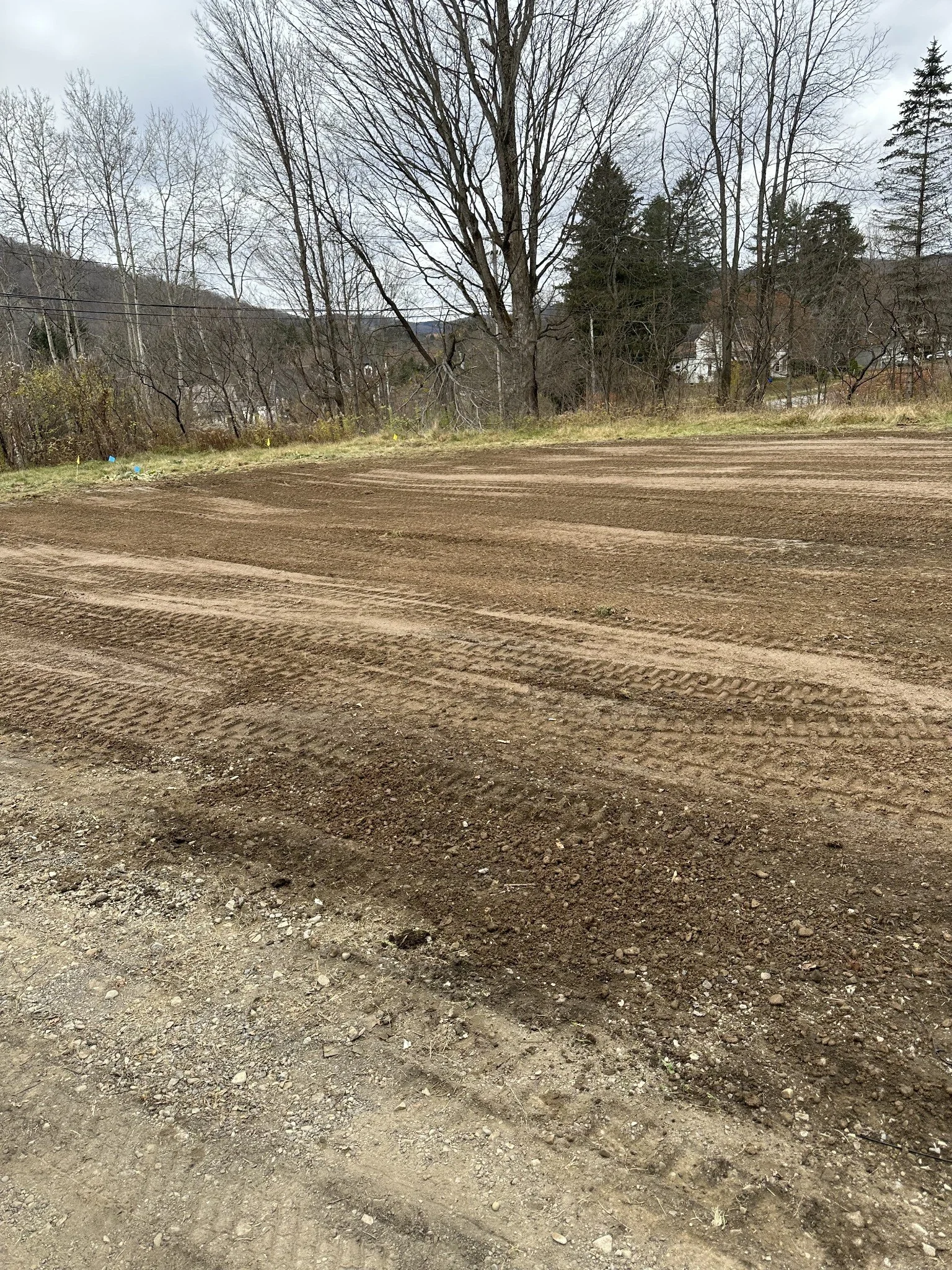 A cleared and leveled dirt lot with trees and a cloudy sky in the background.