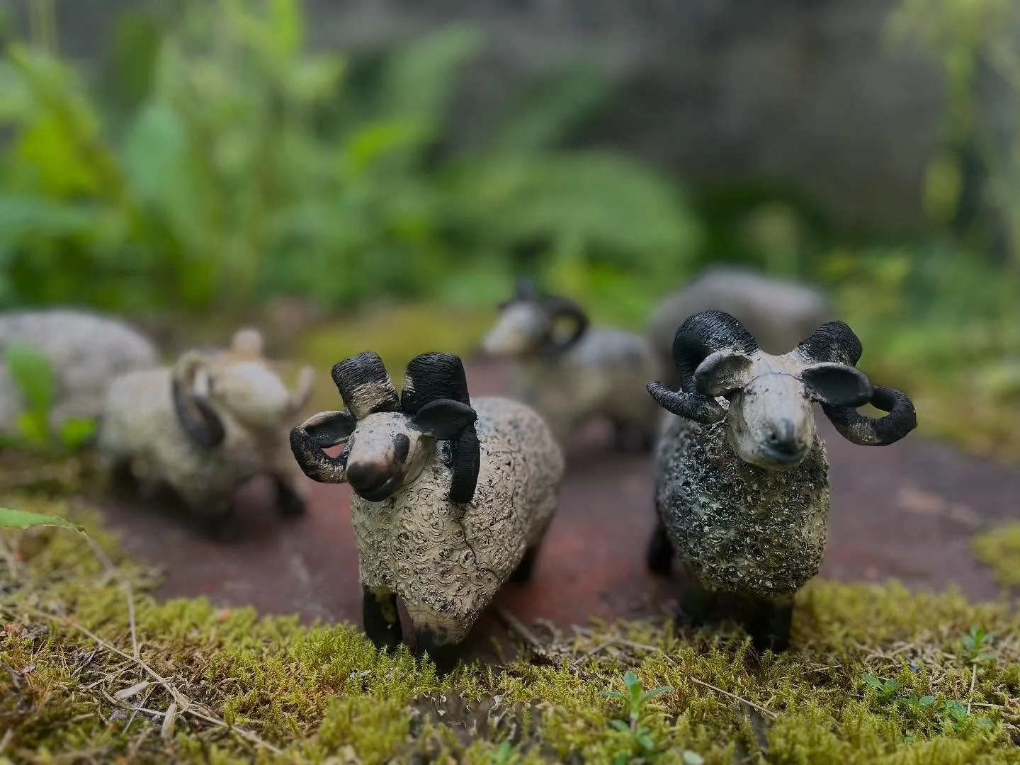 Tarupajan rakupoltto 15.8.2025