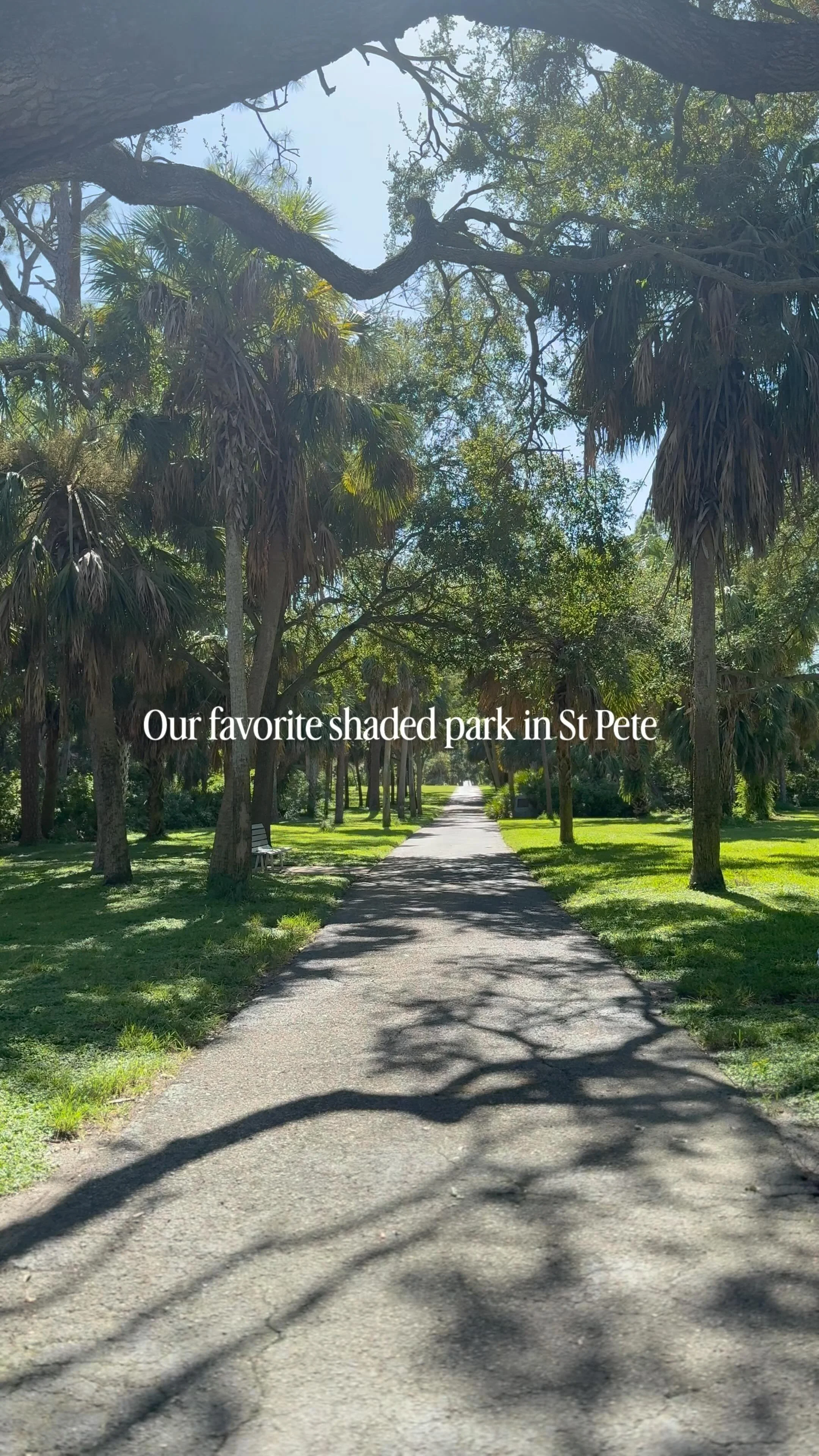 The view at the end ✨
Hey St. Pete parents, are you tired of feeling like you might pass out from heat stroke from just walking outside?
Abercrombie park is the answer.
Shaded paved trail, picnic tables, stroller friendly, a boardwalk, and a water