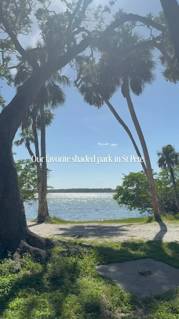 The view at the end ✨
Hey St. Pete parents, are you tired of feeling like you might pass out from heat stroke from just walking outside?
Abercrombie park is the answer.
Shaded paved trail, picnic tables, stroller friendly, a boardwalk, and a water