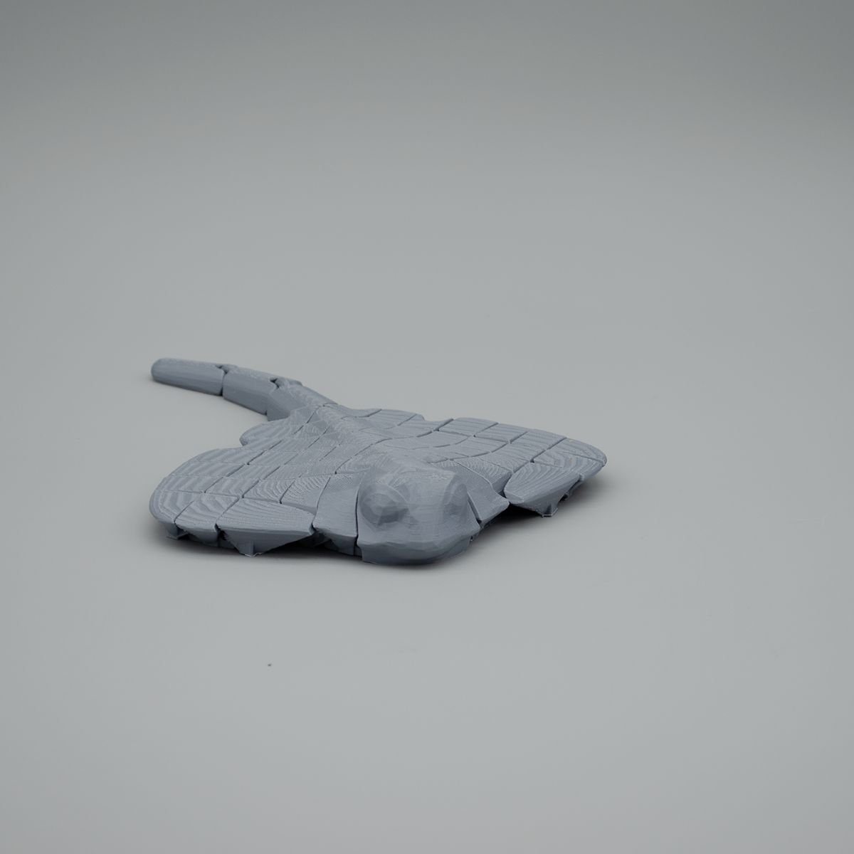 large mantaray.jpg