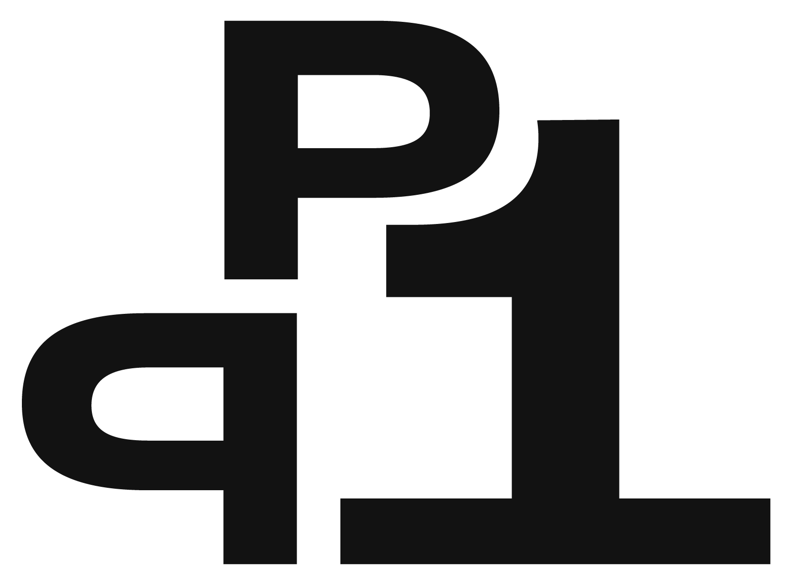pp1_1_1.png