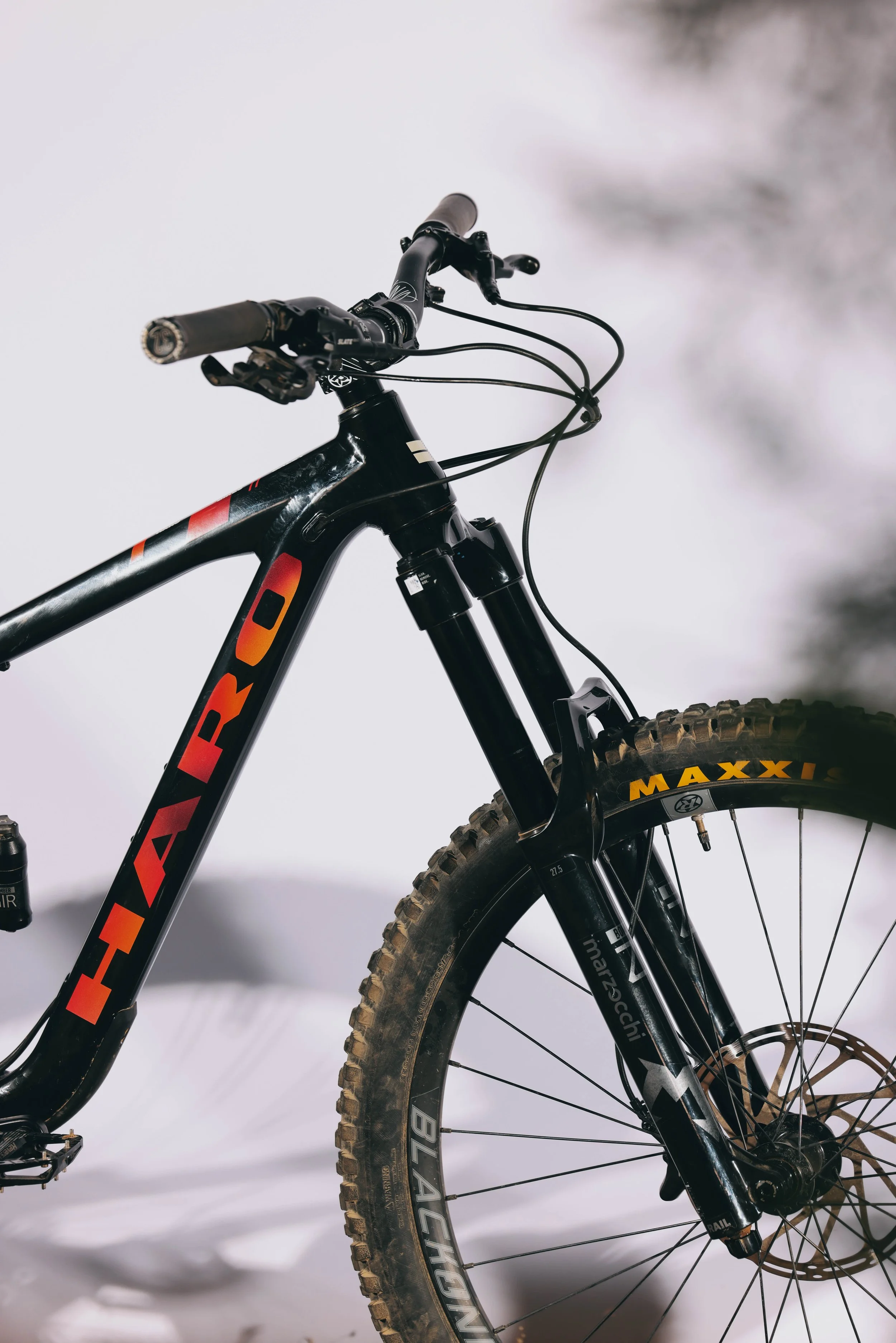 HARO X PHOTOSHOOT 1 -_-11.jpg