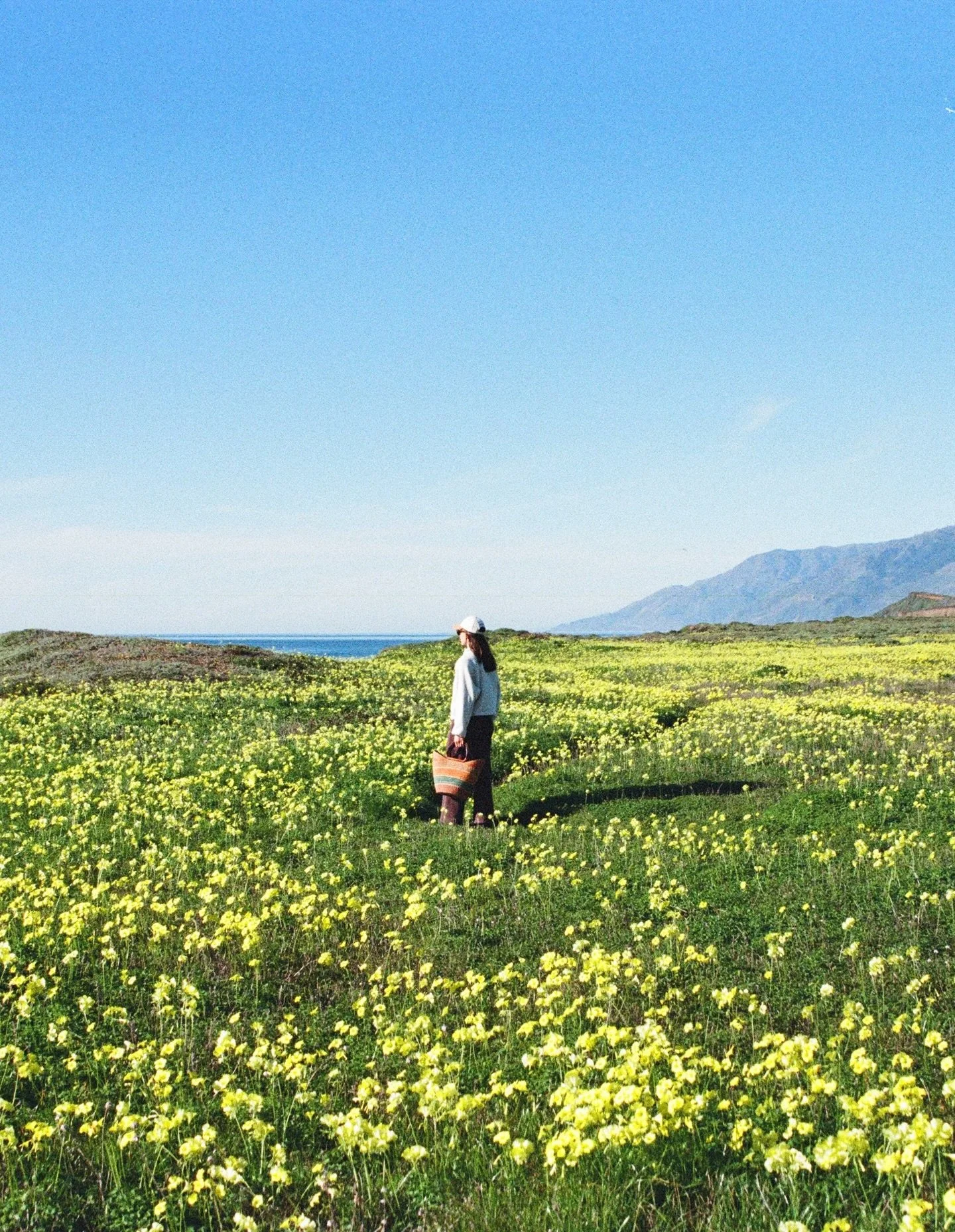 Snippets from the last few months 🌞🐚🎨 Been staying busy with site visits, planning calls, tastings, and design decks - with plenty of beach time and hikes in between. Feeling inspired and so ready for wedding season to kick off !!!