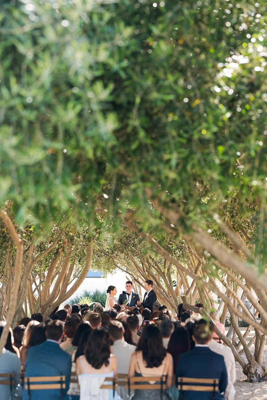 2026 danika thomas wedding nadine wendorff-55.jpg