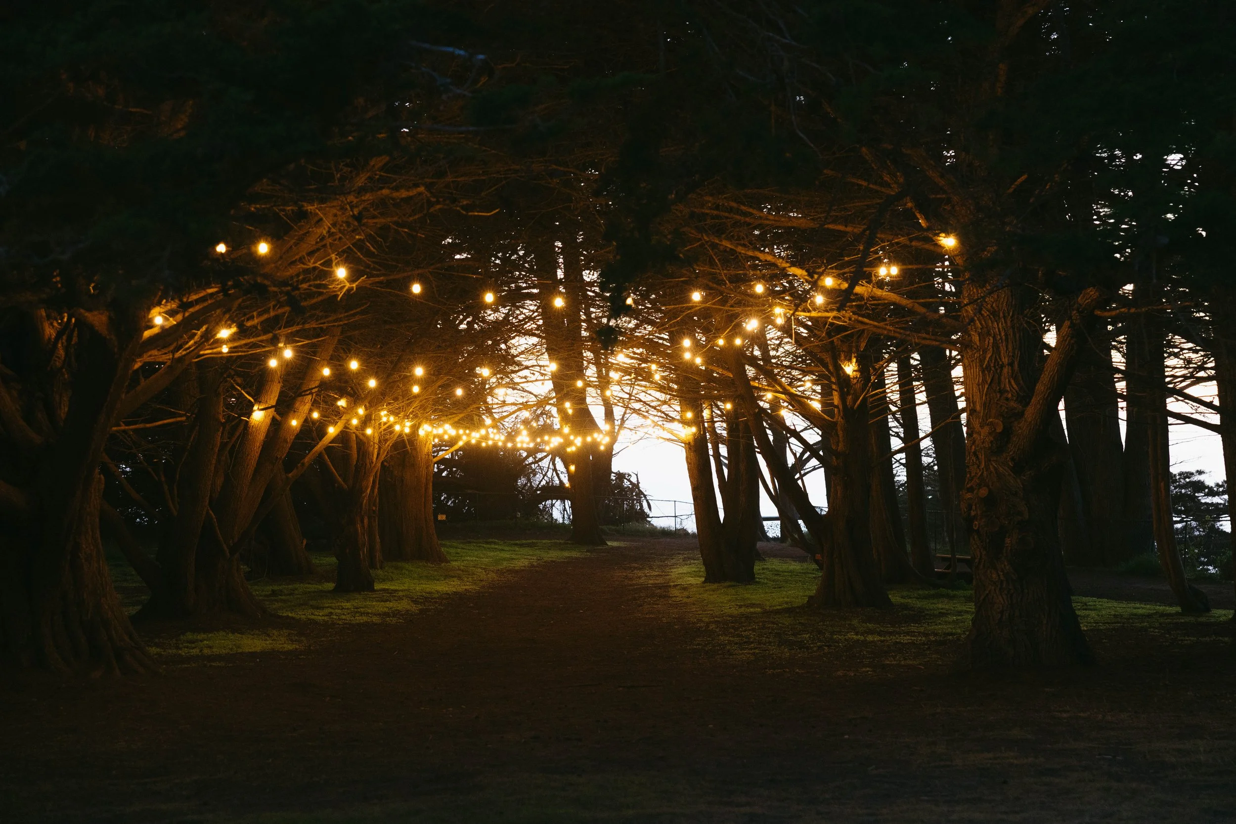big sur nadine wendorff 2025-436.jpg