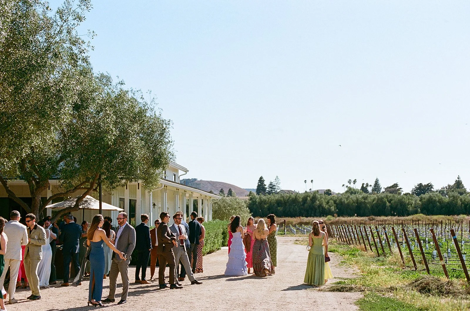 2026 danika thomas wedding nadine wendorff-68.jpg