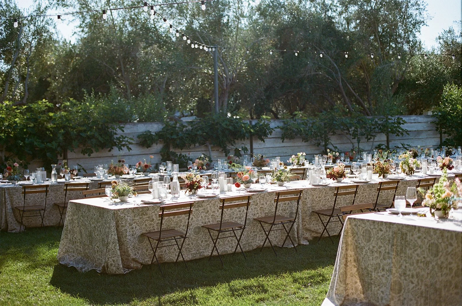2026 danika thomas wedding nadine wendorff-79.jpg