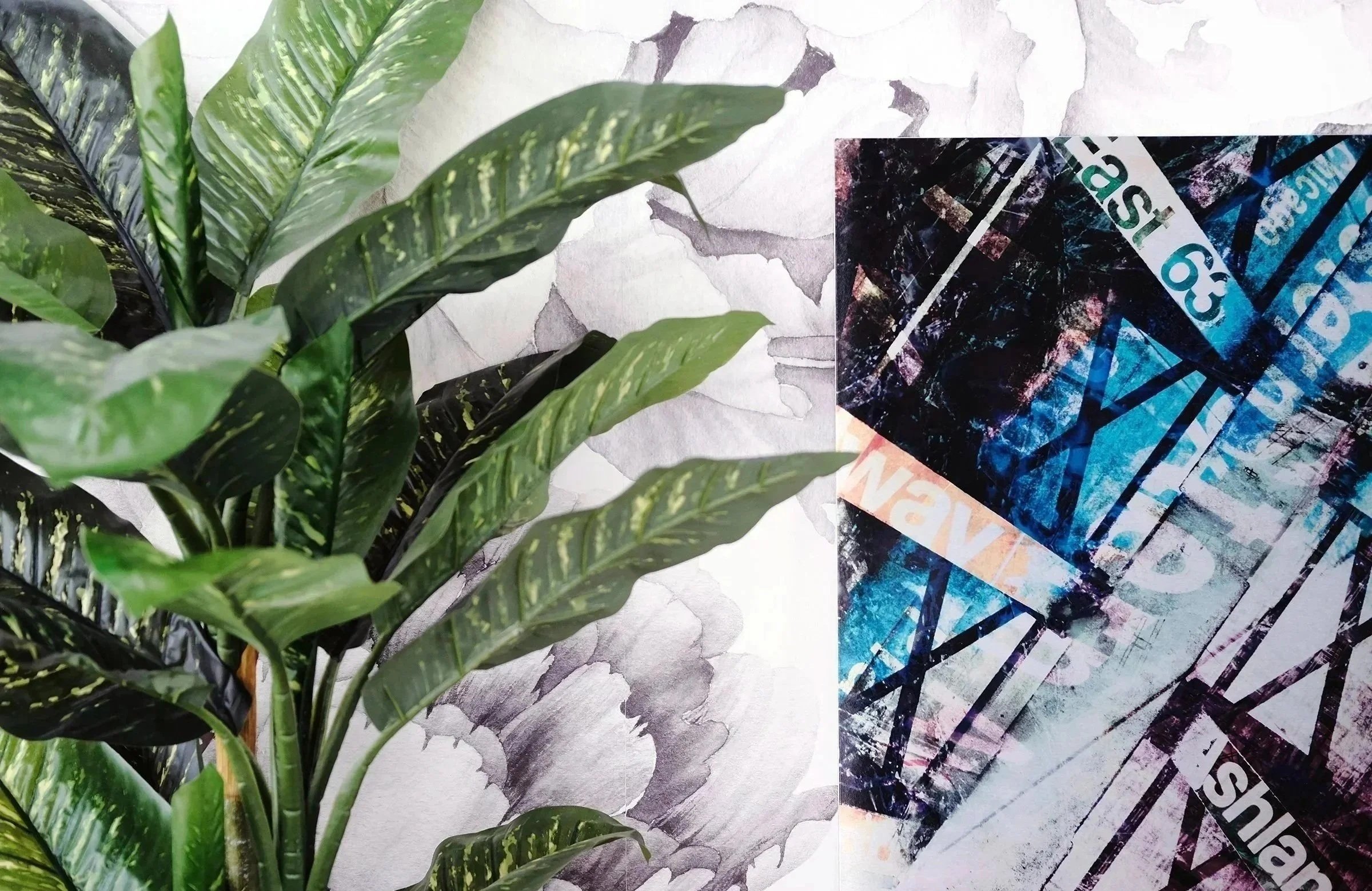A potted plant with large green leaves in front of a textured background with peeling paint, partially covering some colorfully printed paper or magazine with abstract patterns and text.