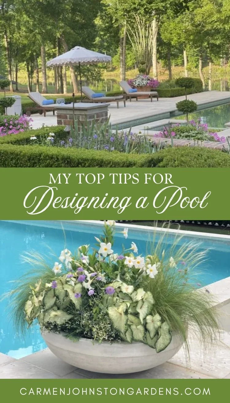Top Tips For Designing A Pool