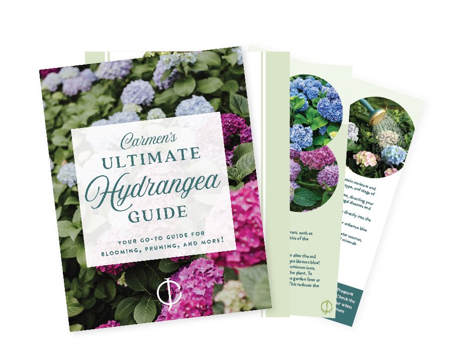 CJG_hydrangea_guide_mockup-01.jpg
