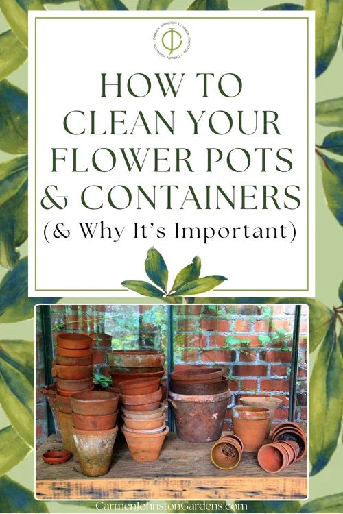 How to Clean Your Flower Pots & Containers (& Why It’s Important ...