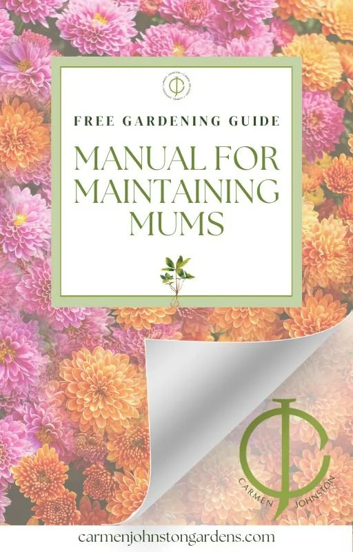 Mum Manual ebook cover.jpg
