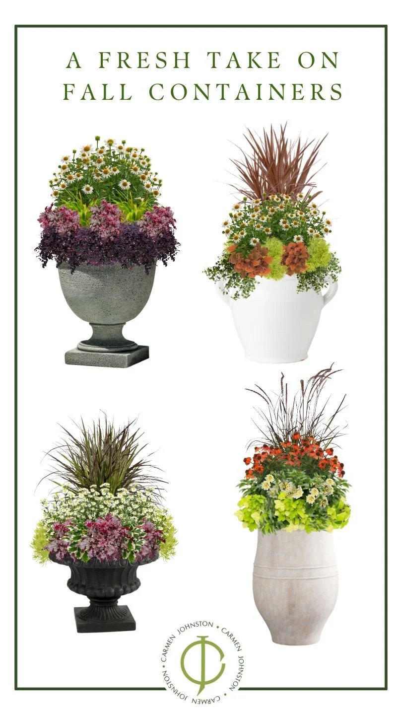 A Fresh Take on Fall Containers — Carmen Johnston Gardens