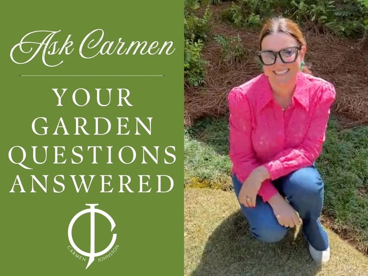 Ask Carmen: Garden Planning FAQs