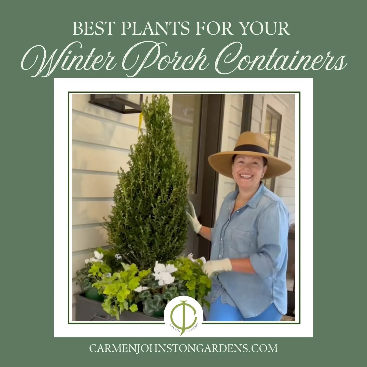Best Plants for your Winter Porch Containers