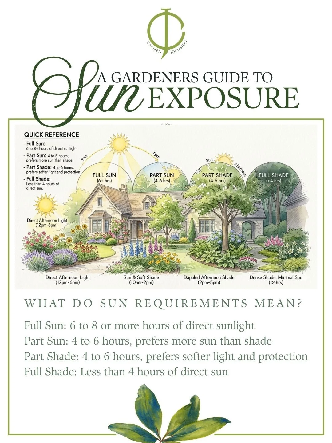 How to Find Out the Sun Exposure in Your Yard