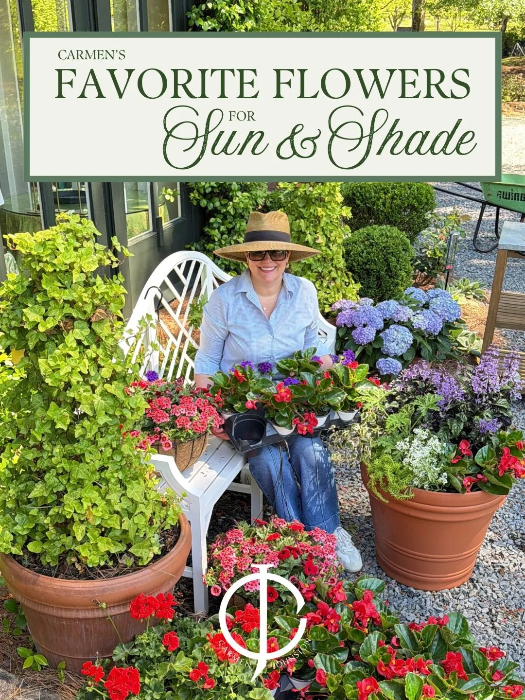 Top 10 Plants for Sun, Shade &amp; beyond