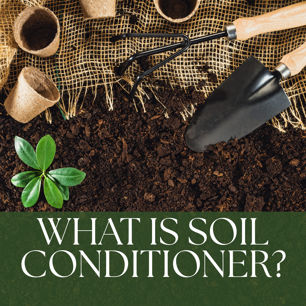 What Is Soil Conditioner, And Why It Matters More Than You Think