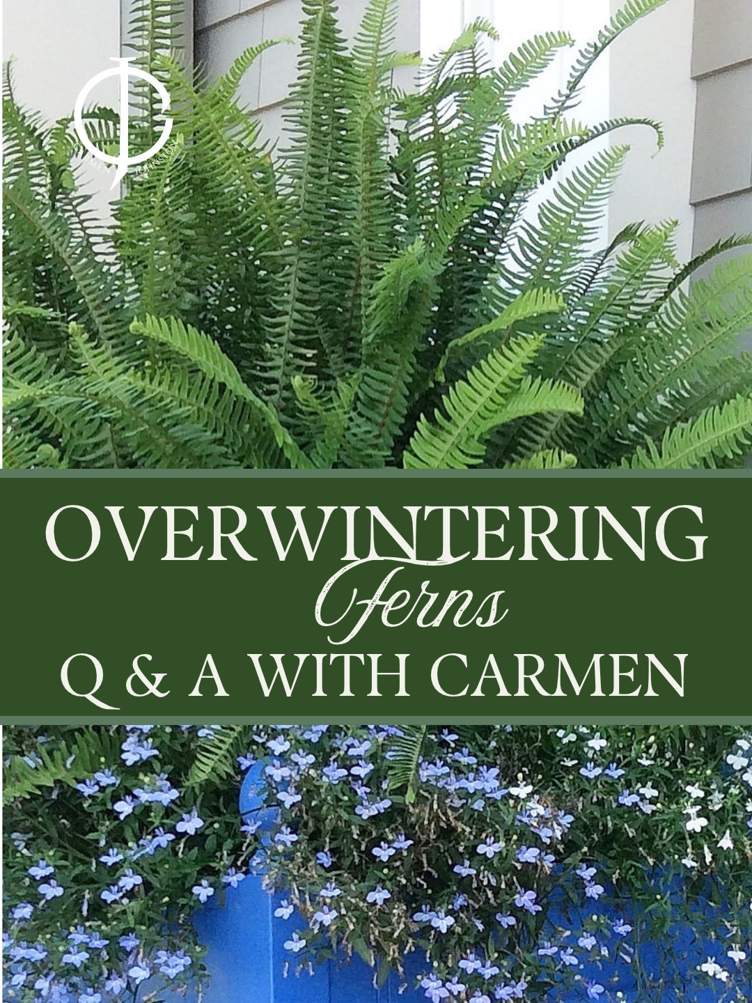 How Do You Overwinter Ferns? Your 90 Questions, Answered