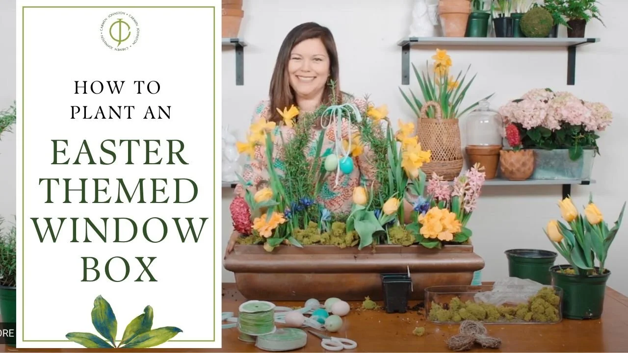 How to Plant an Easter Window Box — Carmen Johnston Gardens