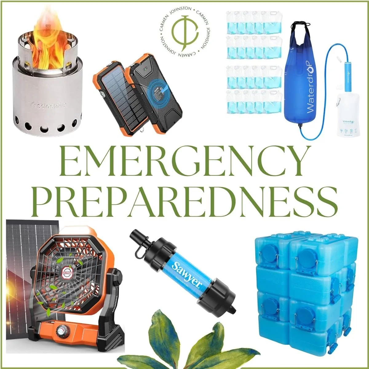 Prepare your home & PROTECT YOUR PLANTS before a hard freeze — Carmen ...