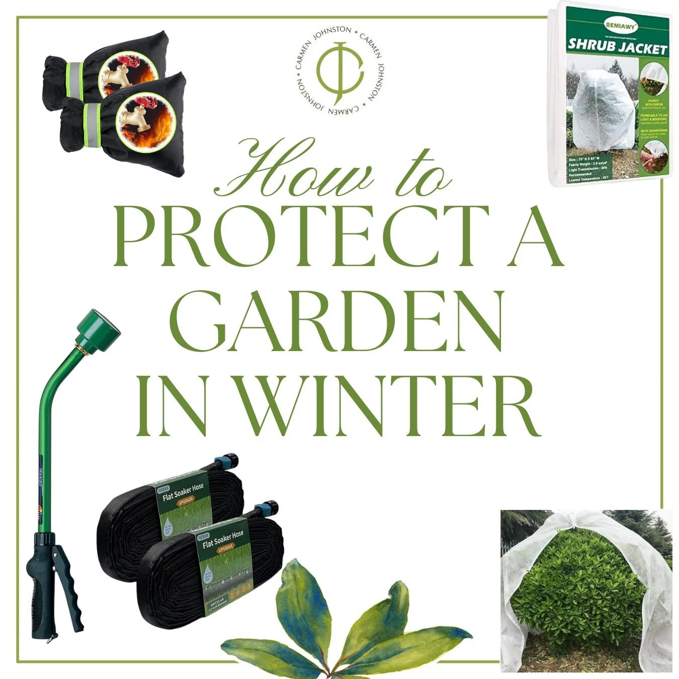 How to Protect Your Plants in Winter — Carmen Johnston Gardens