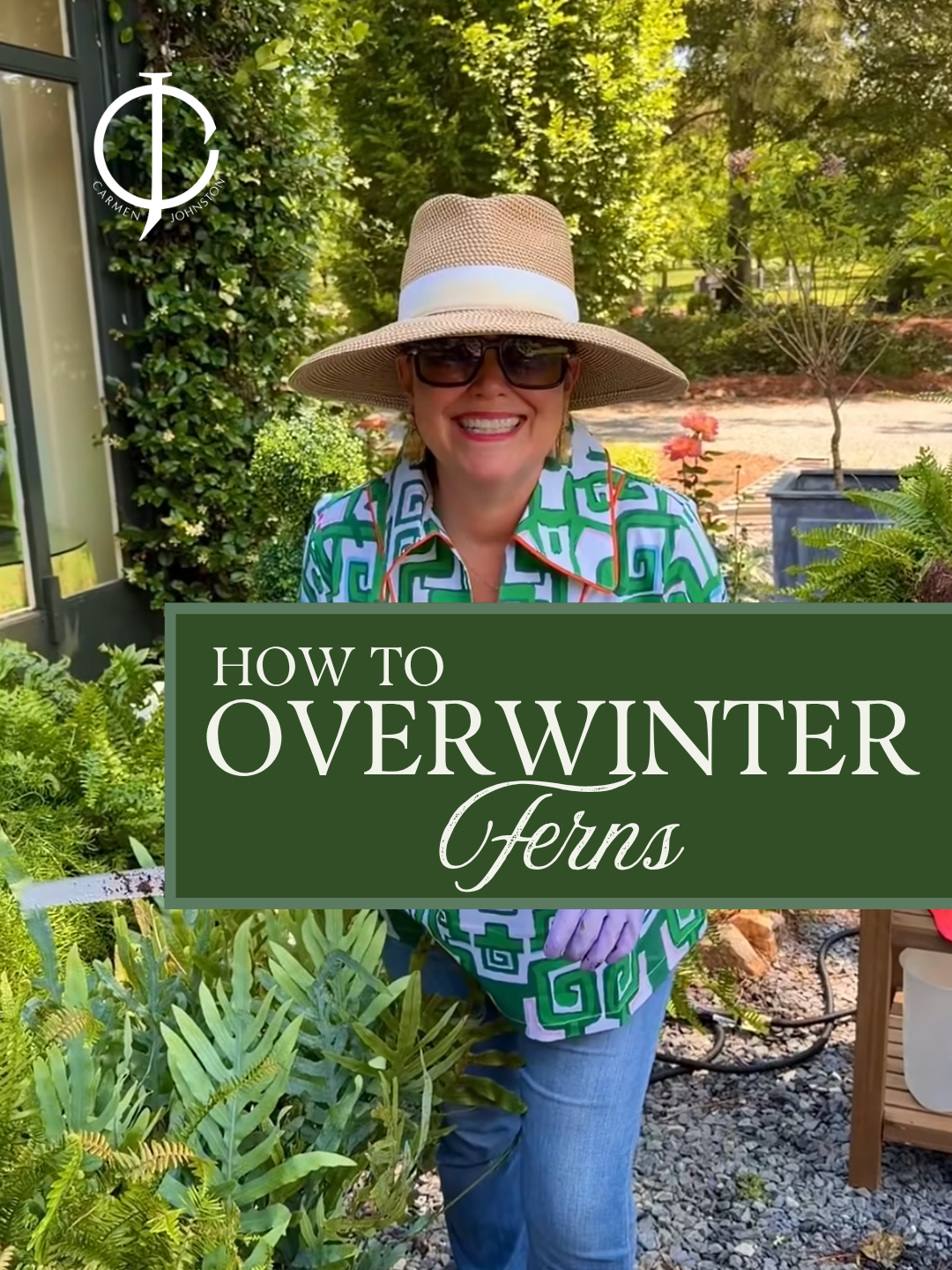 How to Overwinter Ferns