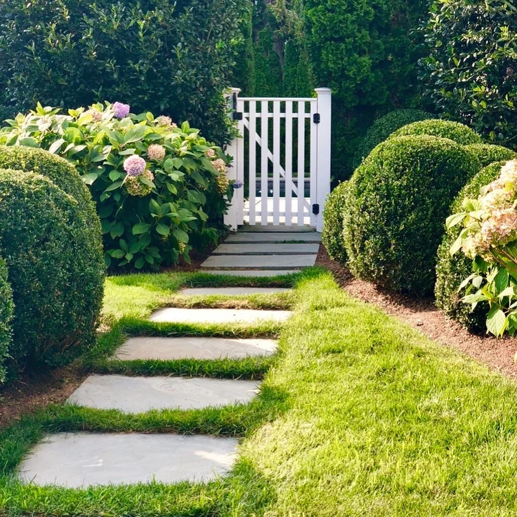 Square Boxwoods The Complete Guide to Planting and Caring for Boxwoods — Carmen ...