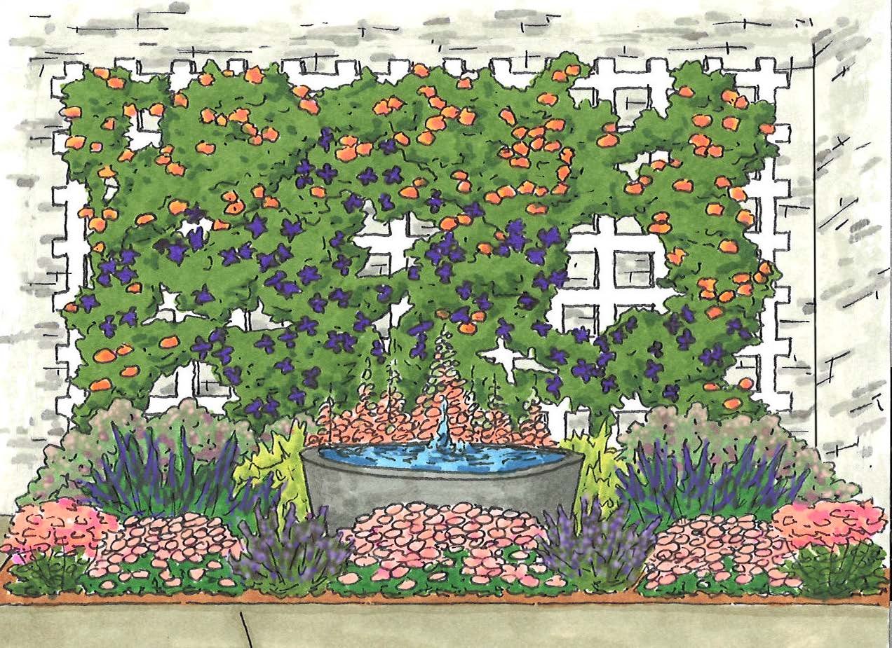 Treillage on the Terrace