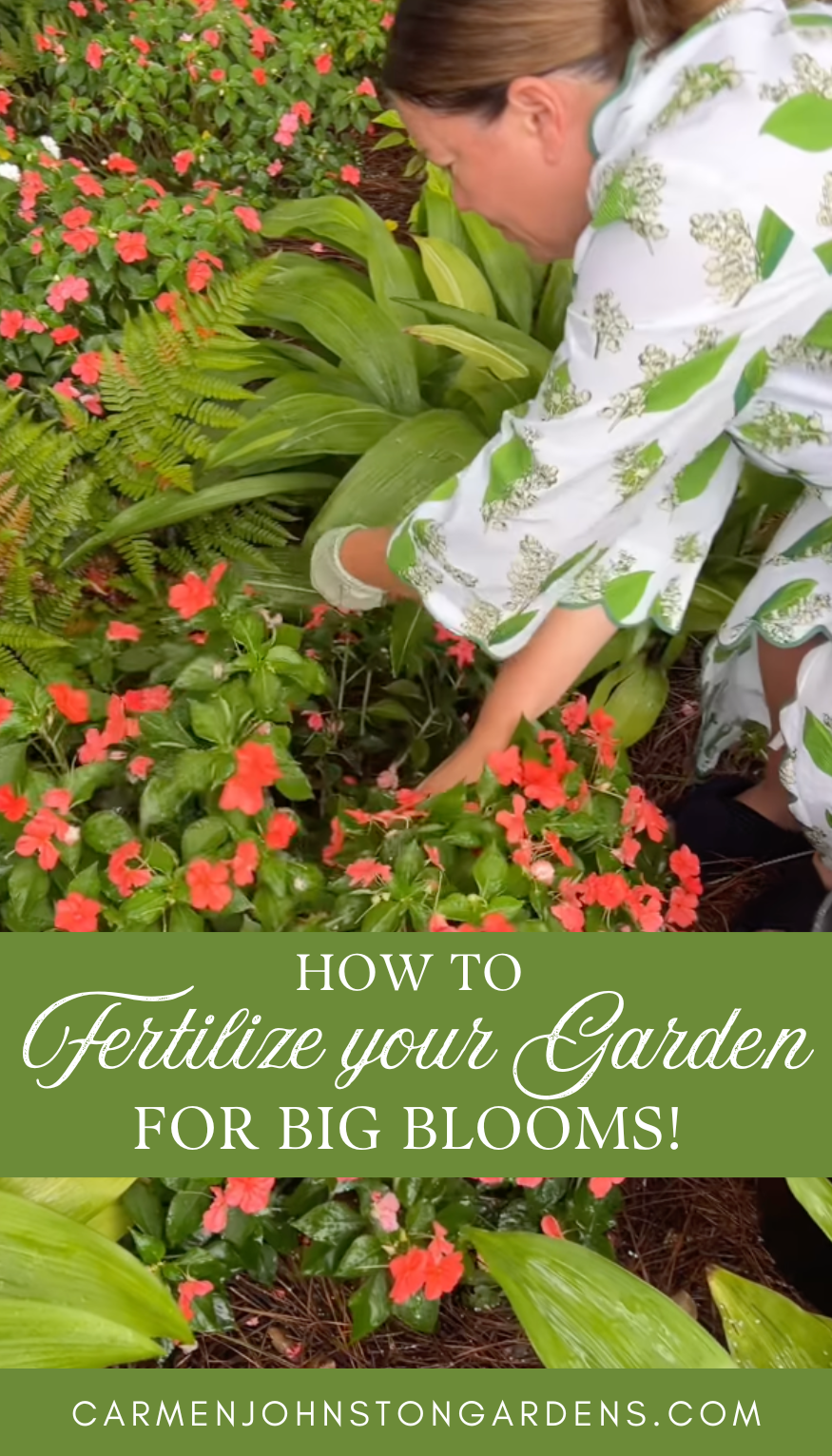 How (and When) to Fertilize your Garden