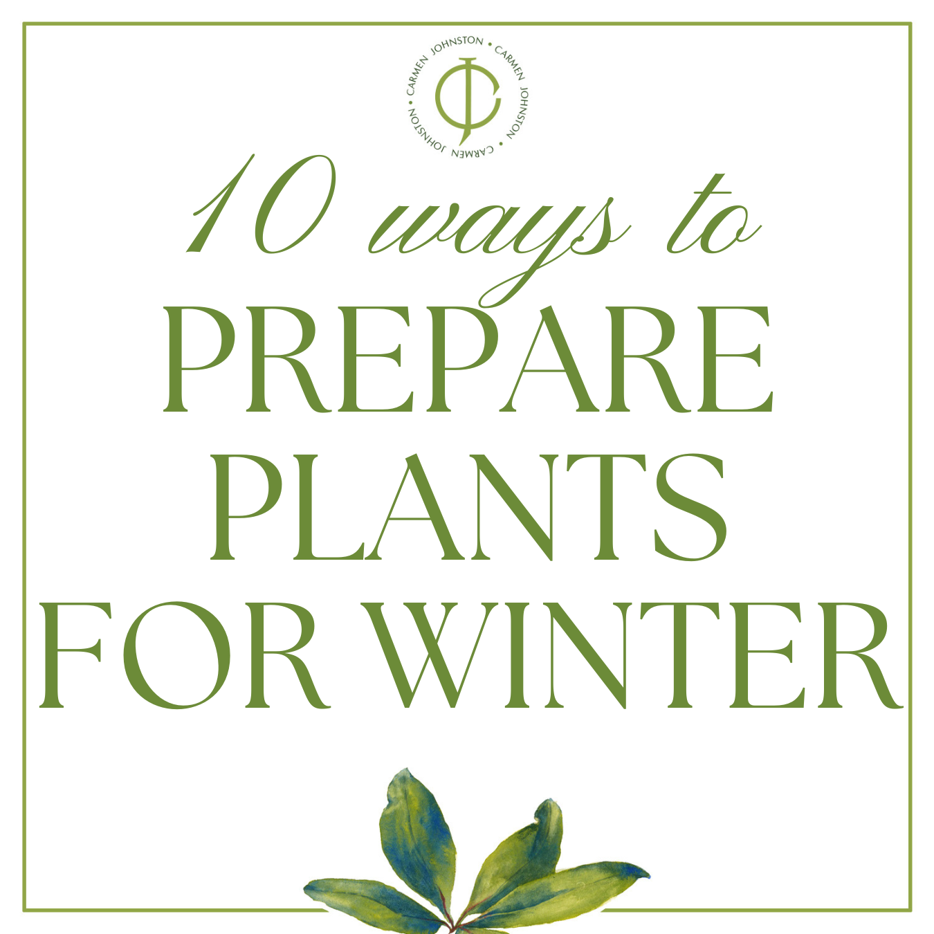 How to Protect Your Plants in Winter — Carmen Johnston Gardens