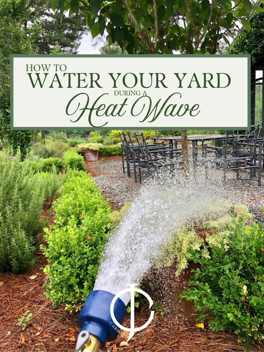 How to Keep Your Yard Alive in This Intense Heat
