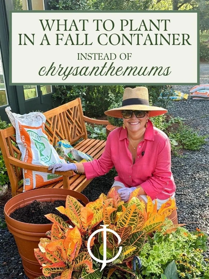 Heat Tough Plants: What to Put in Your Fall Containers Instead of Mums