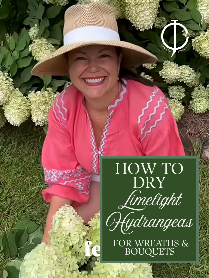 How to Dry Limelight Hydrangeas