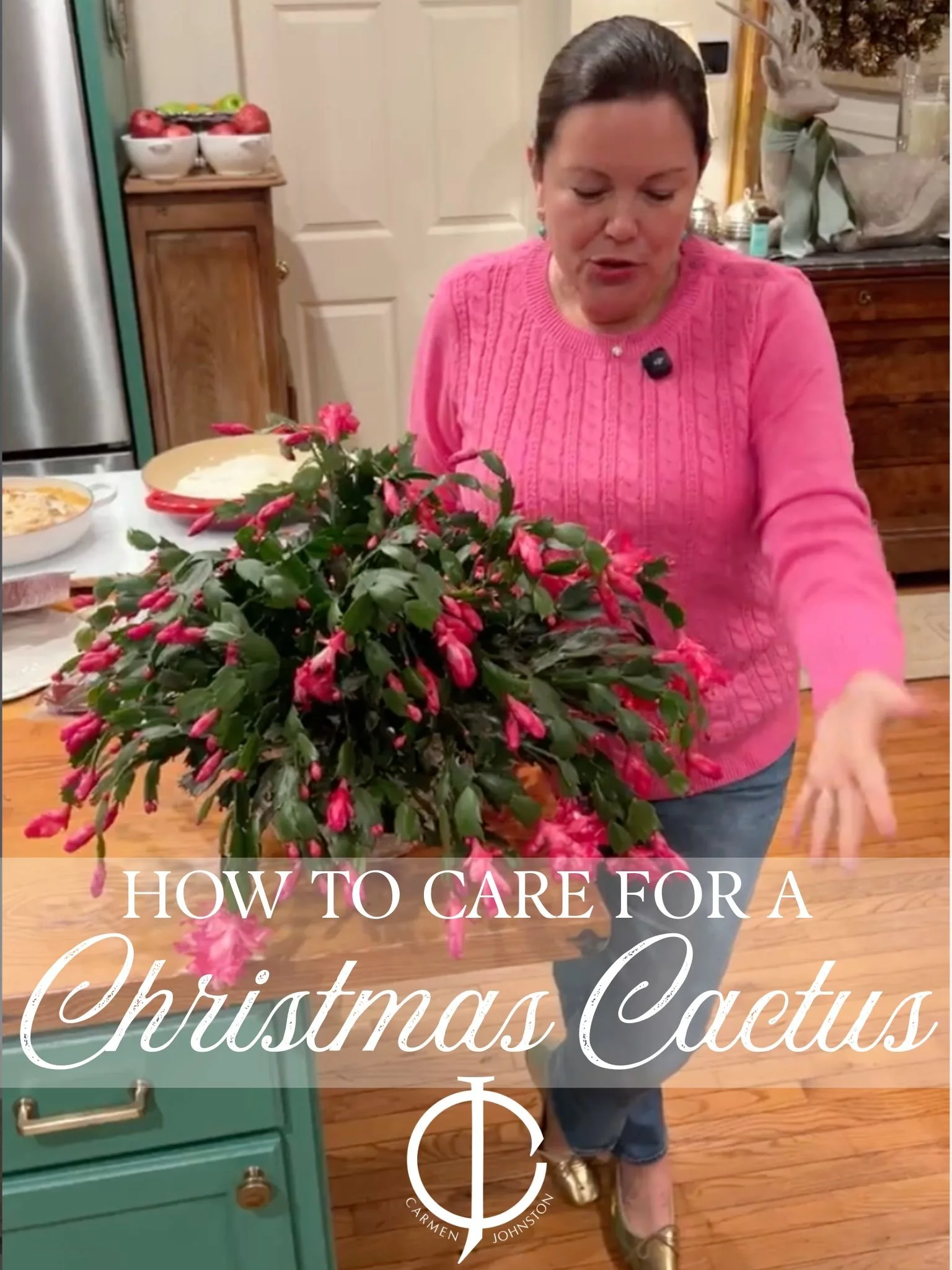 CARMEN’S CHRISTMAS CACTUS CARE