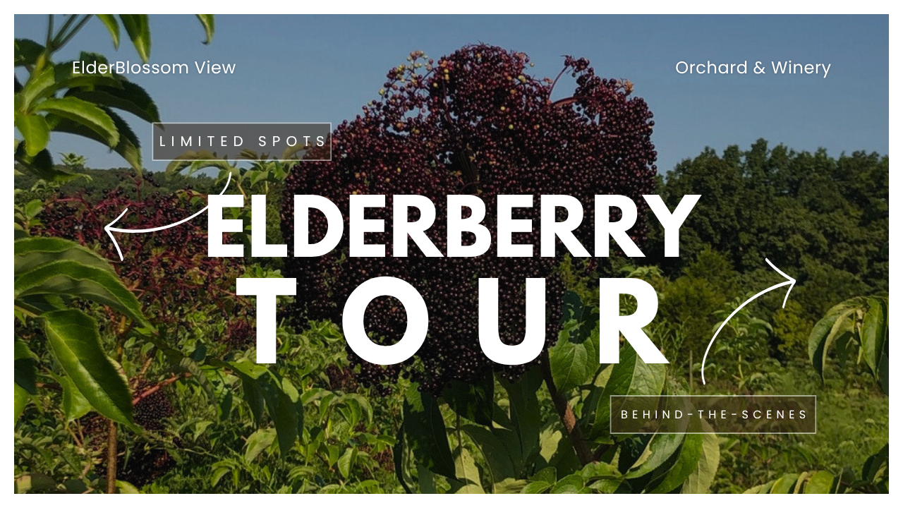 Elderberry Tour.png