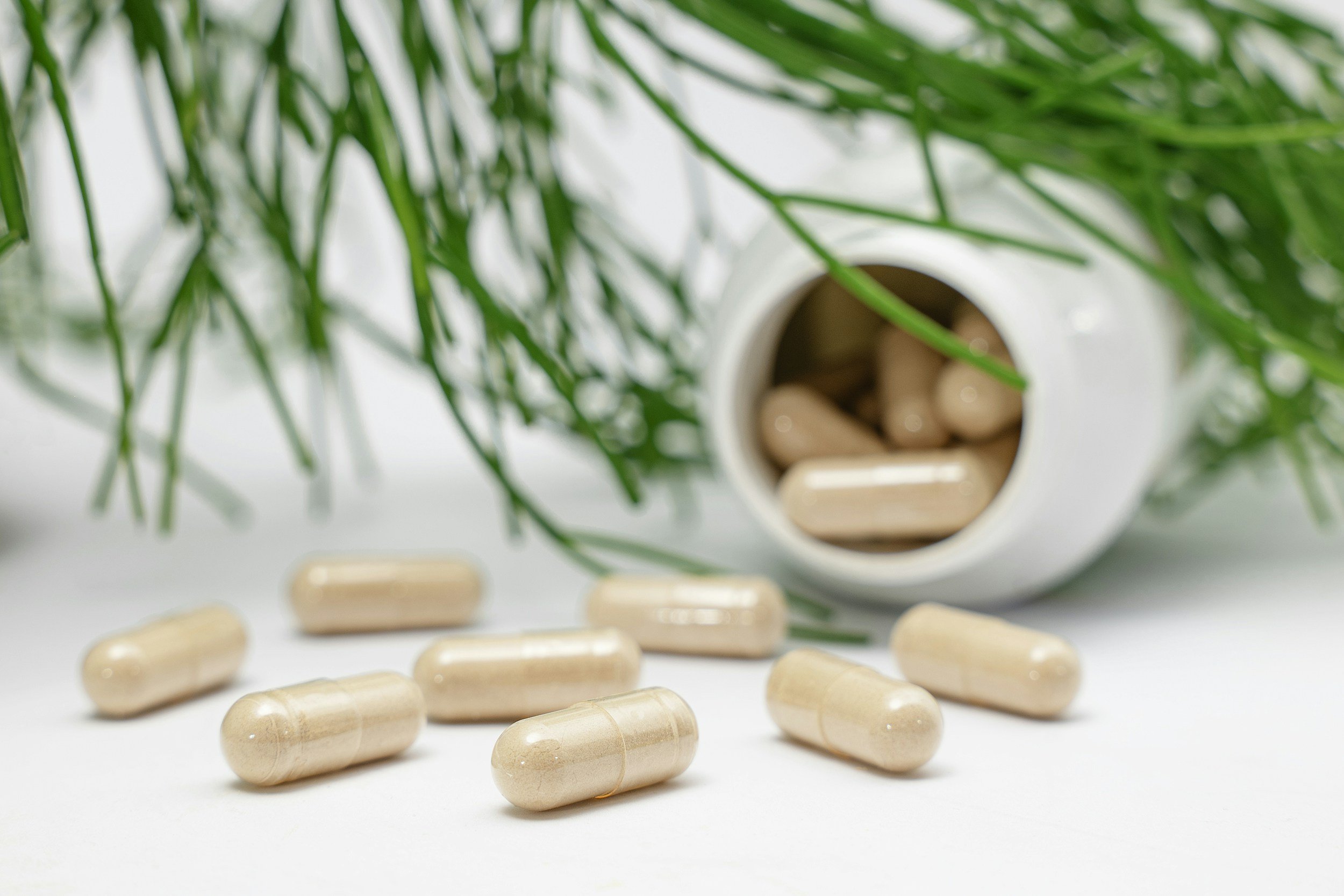 How to Get Started with a Parasite Cleanse (Even If It’s Your First Time)