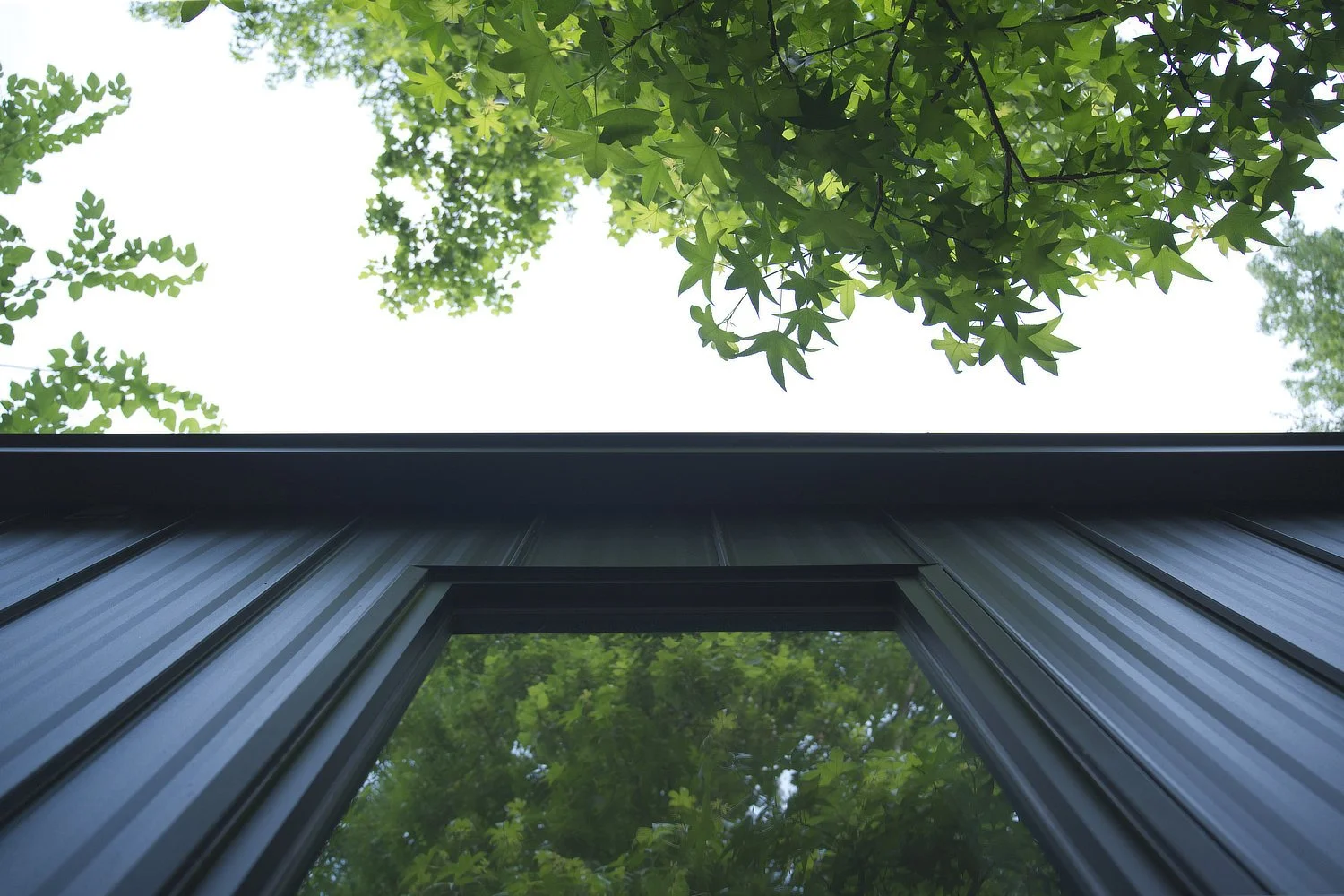 WEB_A7C03904-1.jpg