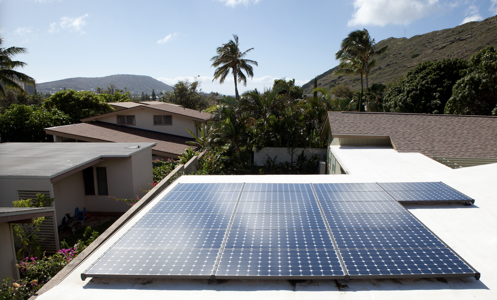 Solar array on a flat roof surrounded by palm trees and mountains