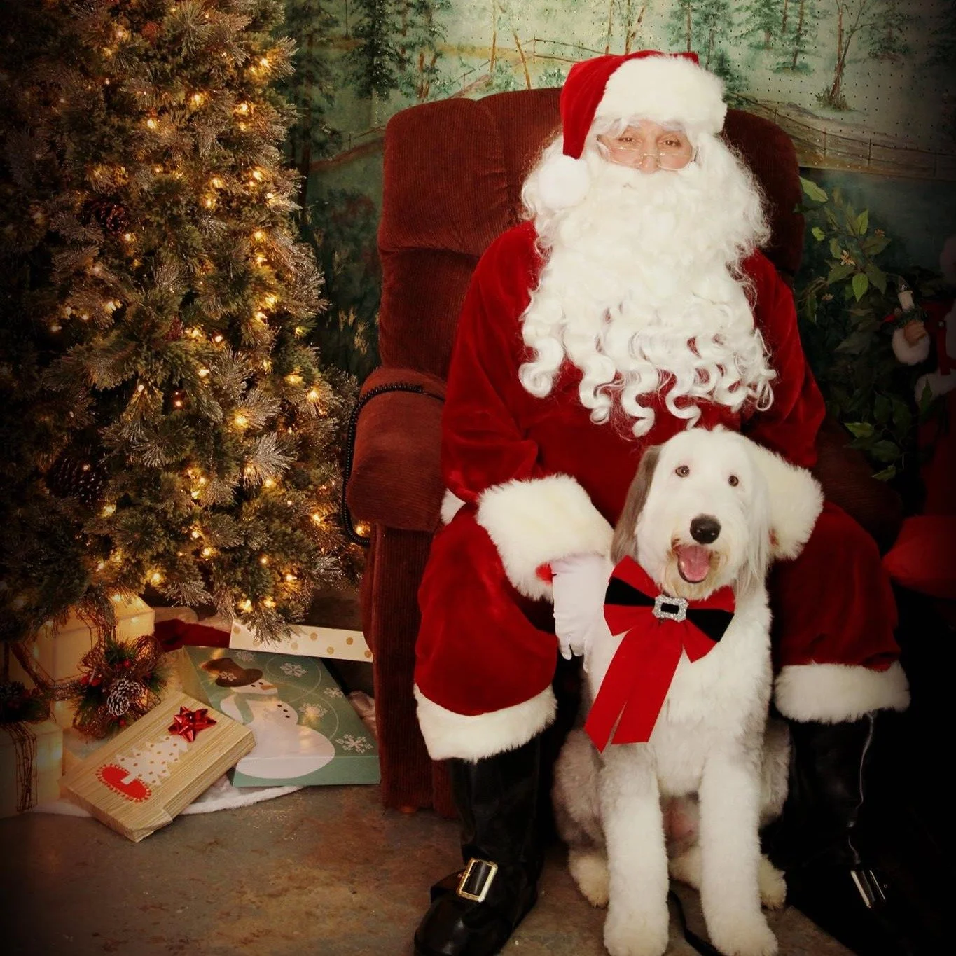 🐕 Dory&rsquo;s Monday Message: Take a leadership lesson from Santa🎅

It's finals week over here 📚✨, and usually this week is the last week I post messages from Dory for my students. In the fall semester, Dory's last photo is usually one of her wit