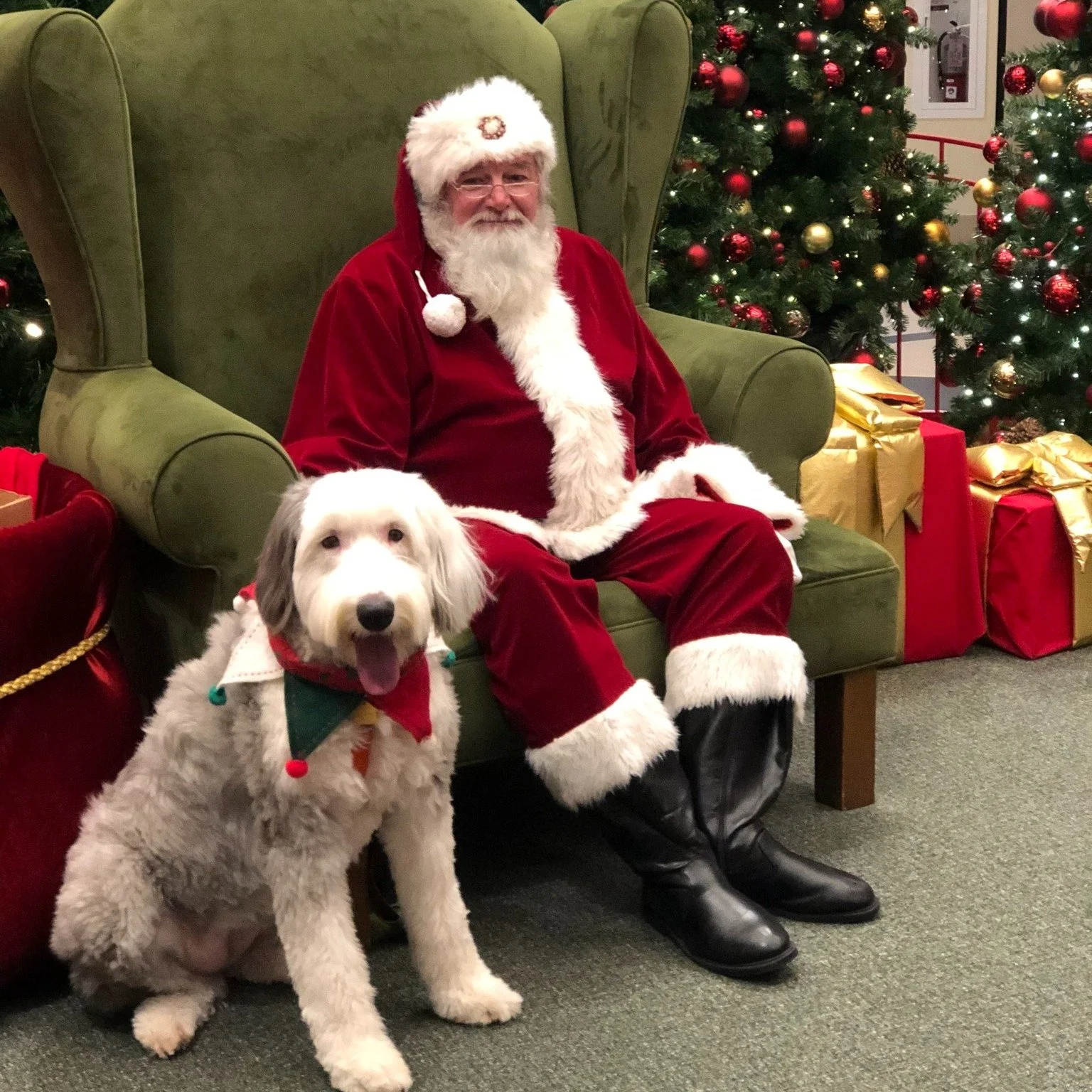 🐕 Dory&rsquo;s Monday Message: A Lesson in Focus from Santa&rsquo;s Workshop 🎅

Dory met Santa in 2019, and she had to overcome some big hurdles. 🎄 Santa's Workshop was at the mall, not near any exit, but in the middle of the mall. It was a few we