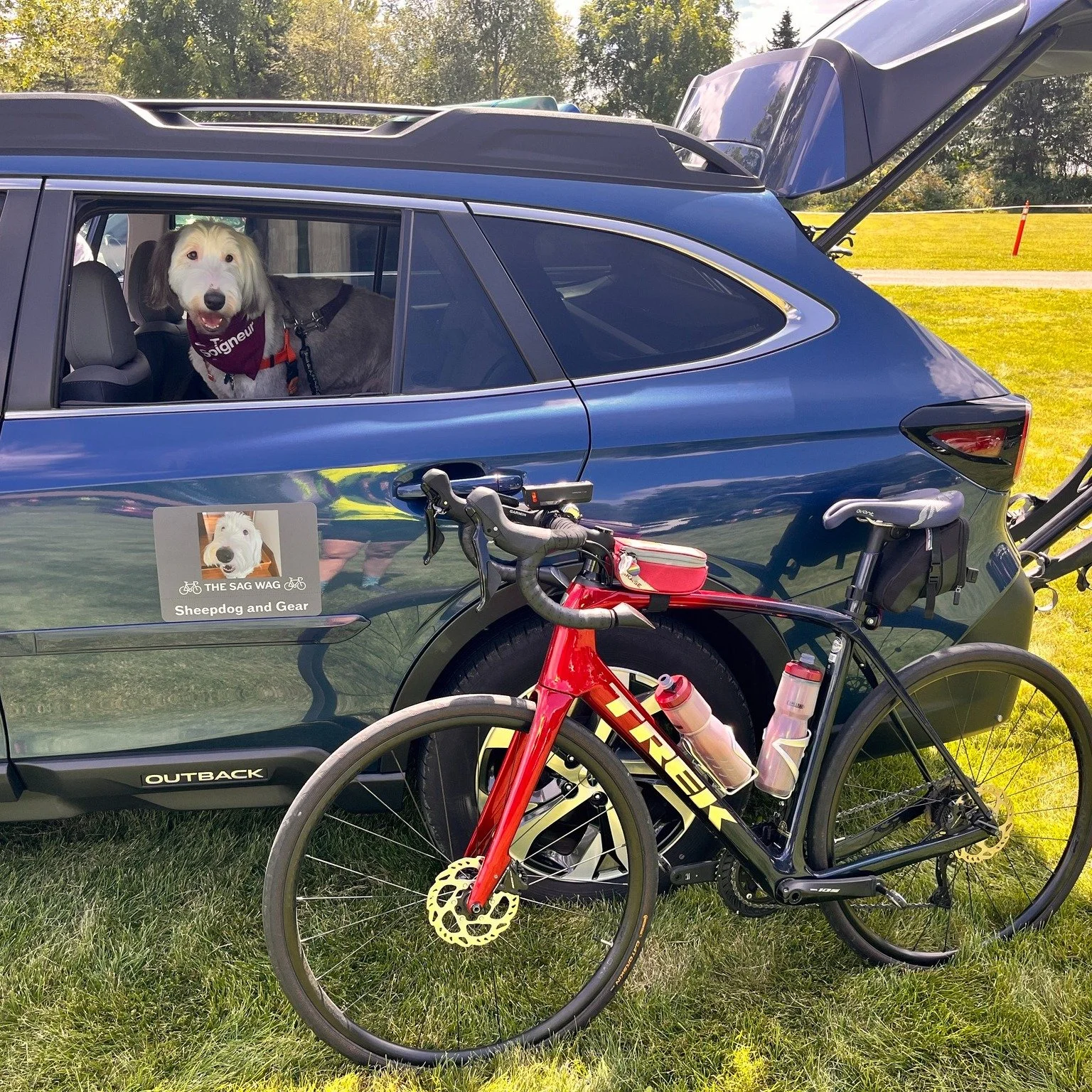 🐕 Dory&rsquo;s Monday Message: Lessons from the SAG WAG Edition 🐾 🚴

🚗 Not All Leaders Ride Shotgun 🚗

Here in the Midwest, the start of spring means the start of outdoor road cycling season. 

Much to Dory&rsquo;s surprise, she was recruited a 
