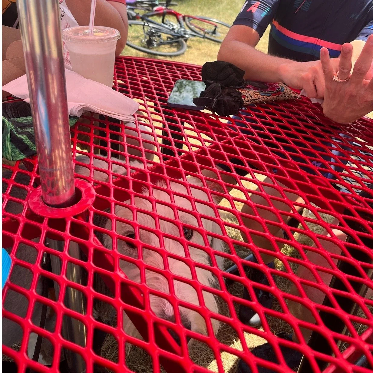 🐕 Dory&rsquo;s Monday Message: Lessons from the SAG WAG Edition 🐾 🚴

🍟 The Best Seat in the House 🍟

Sometimes the best seat in the house isn&rsquo;t a seat at all; it&rsquo;s under the table.

That&rsquo;s Dory&rsquo;s philosophy at least.

Dur
