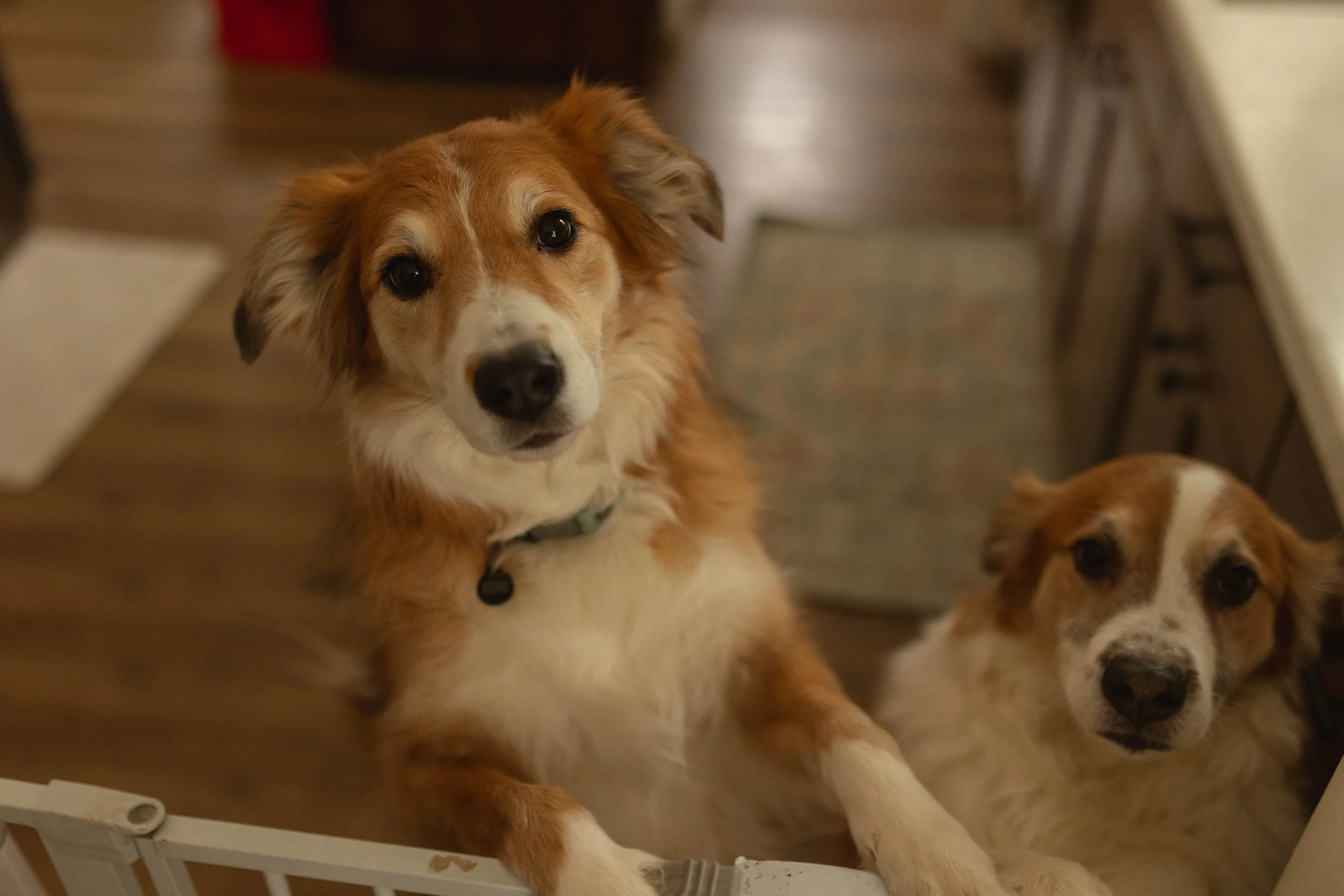 henrynewborn2 (130 of 149).jpg