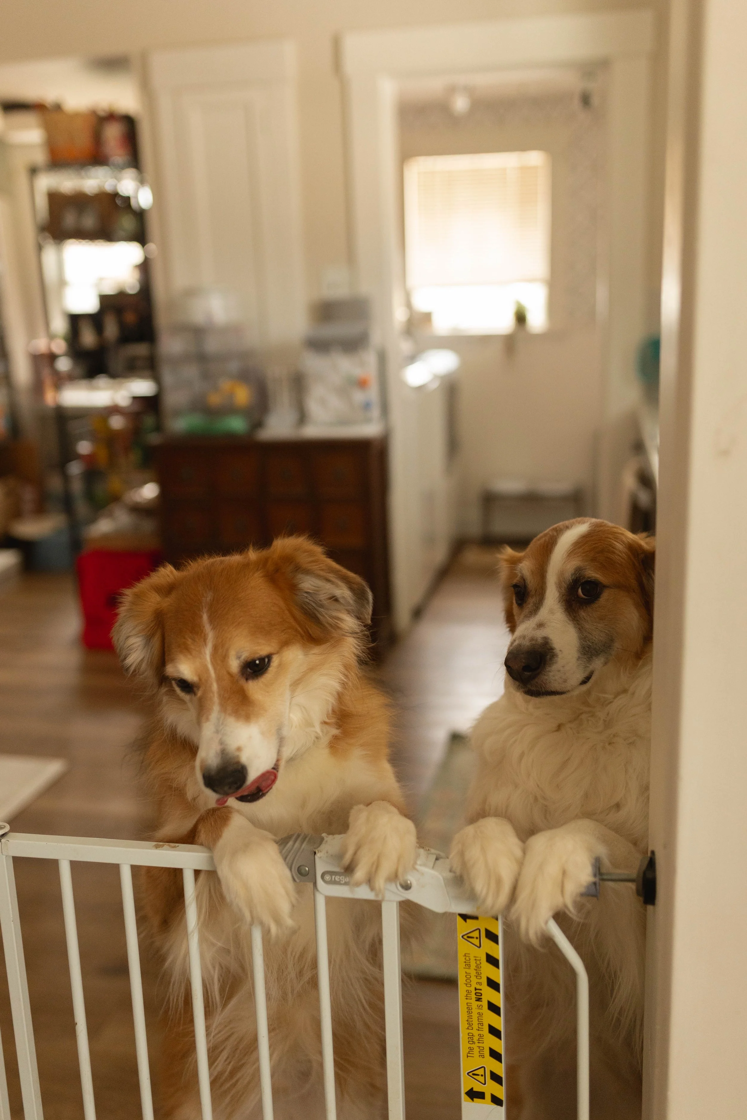 henrynewborn2 (131 of 149).jpg