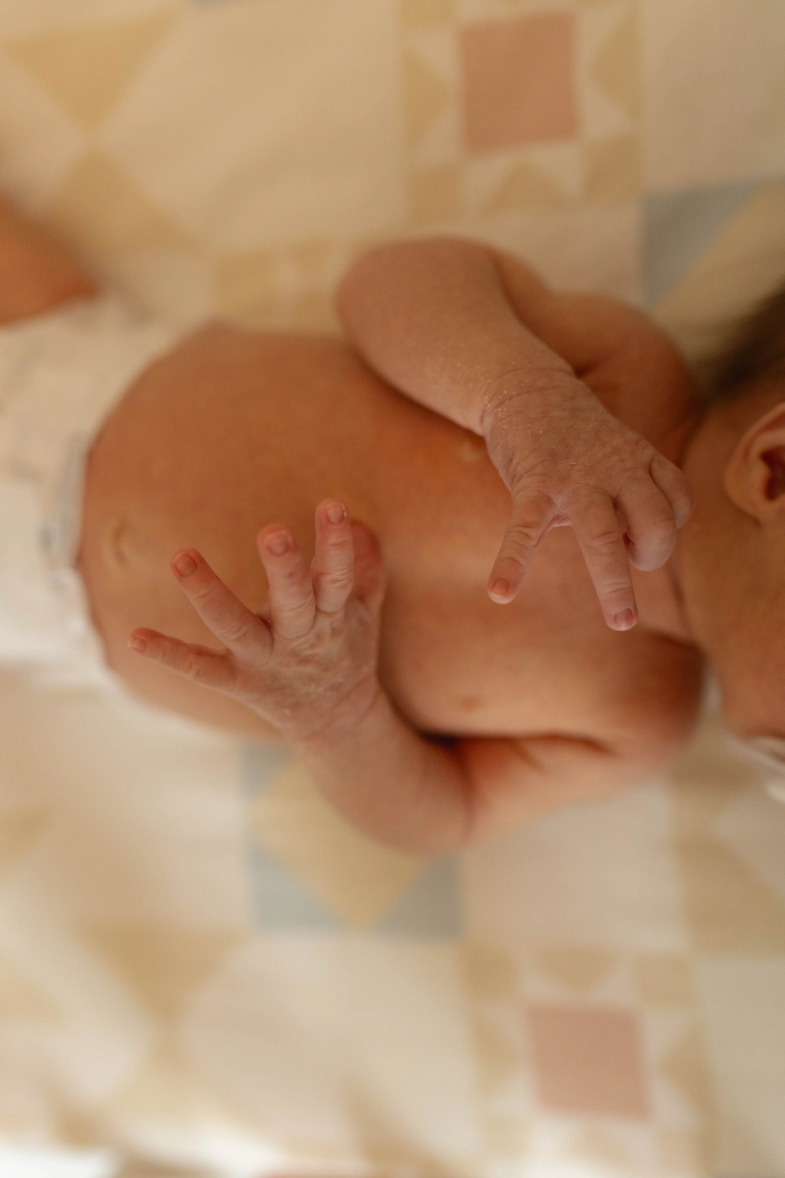 henrynewborn2 (139 of 149).jpg